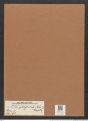 Navicula peregrina (Ehr.) Kuetz. (de-Toni-Nr.: Genus 1, Species 96) Zeichnungen Sammlung Grunow Mappe 00069 (Herbarium_W_Grunow_drawings_Folder_00069)